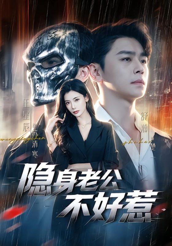 《隐身老公不好惹》-VIP部落