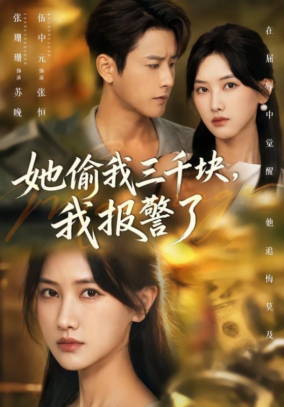 《她偷我三千块，我报警了》-VIP部落