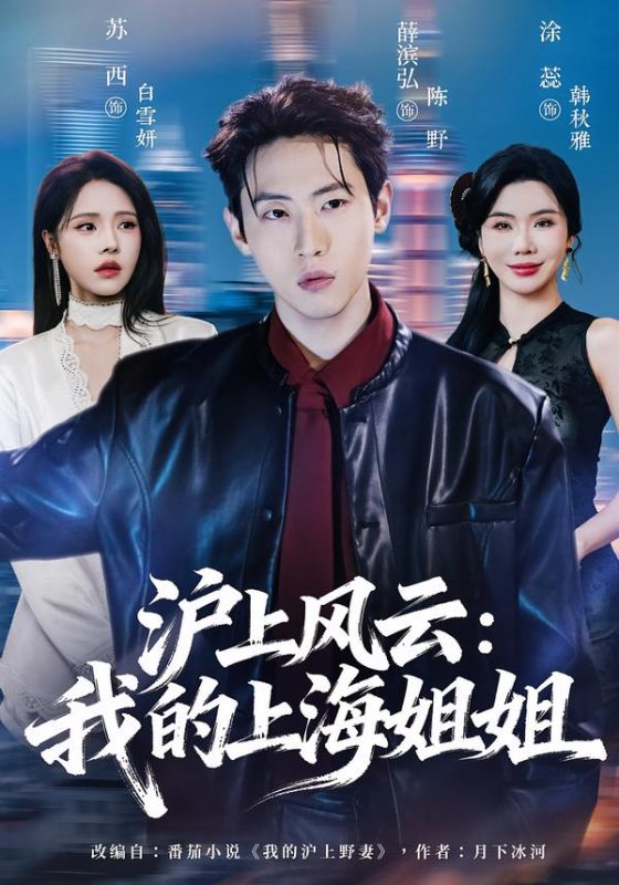 《沪上风云：我的上海姐姐》-VIP部落