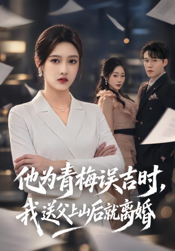 《他为青梅误吉时，我送父上山后就离婚》-VIP部落