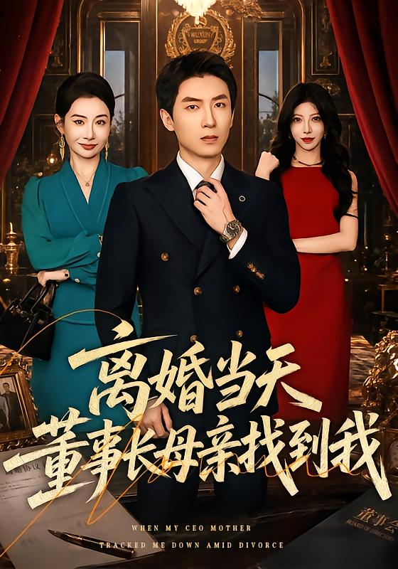 《离婚当天，董事长母亲找到我》-VIP部落