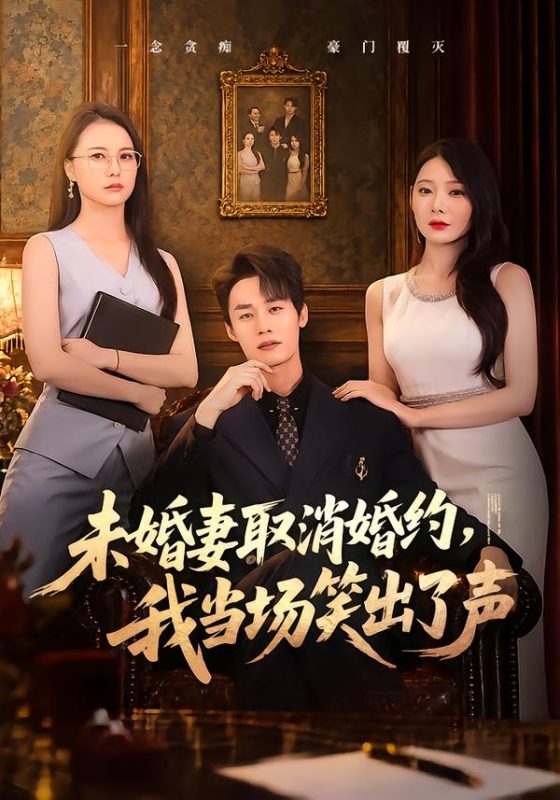 《未婚妻取消婚约，我当场笑出了声》-VIP部落