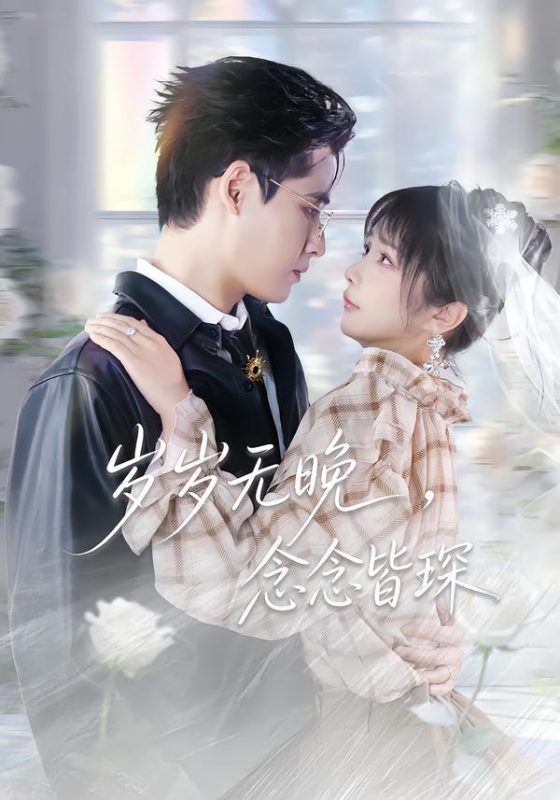 《岁岁无晚，念念皆琛》-VIP部落