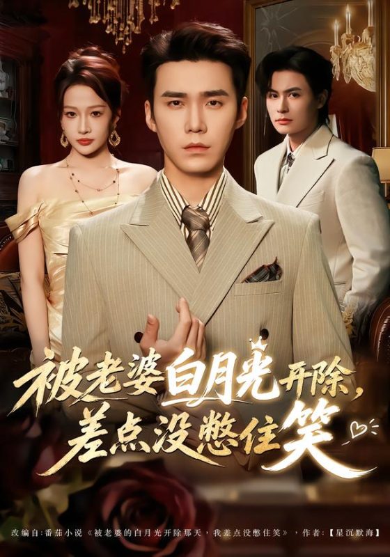 《被老婆白月光开除，差点没憋住笑》-VIP部落