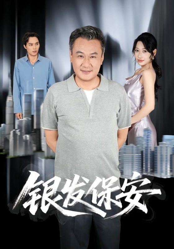 《银发保安》-VIP部落