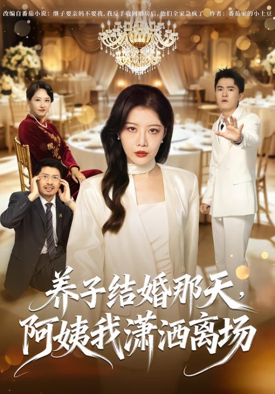 《养子结婚那天，阿姨我潇洒离场》-VIP部落