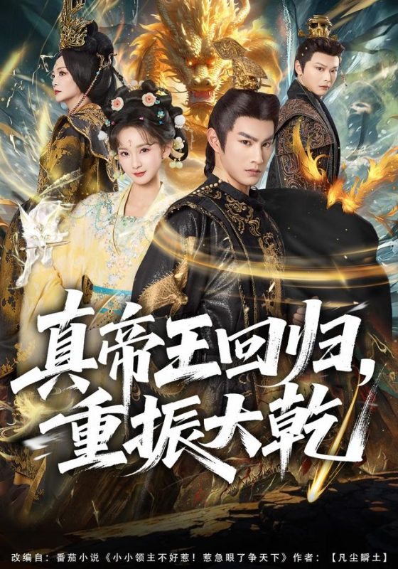 《真帝王回归，重振大乾》-VIP部落