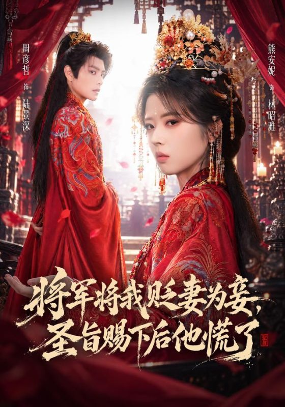 《将军将我贬妾为妻，圣旨赐下后他慌了》-VIP部落
