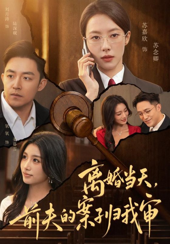 《离婚当天，前夫的案子归我审》-VIP部落