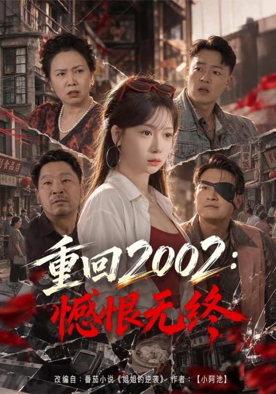 《重回2002：憾恨无终》-VIP部落