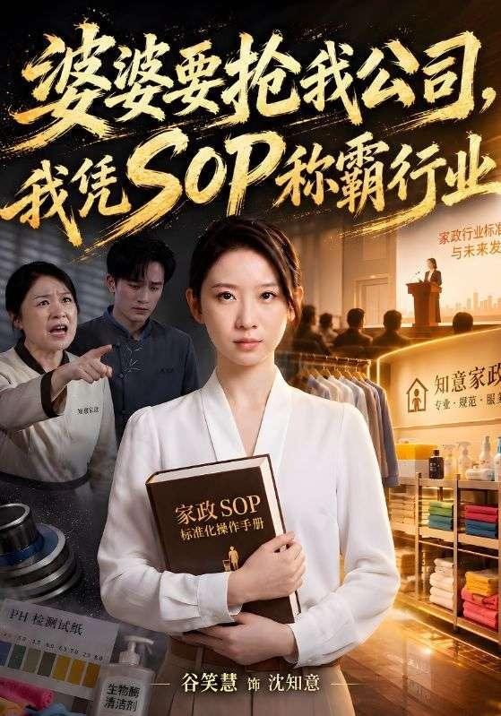 《婆婆要抢我公司，我凭SOP称霸行业》-VIP部落