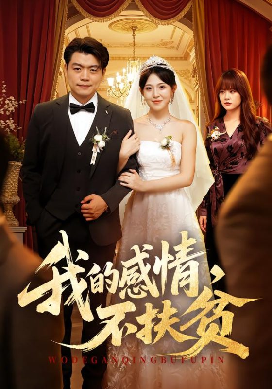 《我的感情，不扶贫》-VIP部落