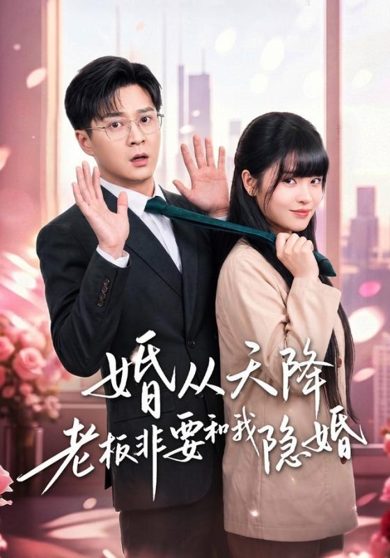 《婚从天降老板非要和我隐婚》-VIP部落