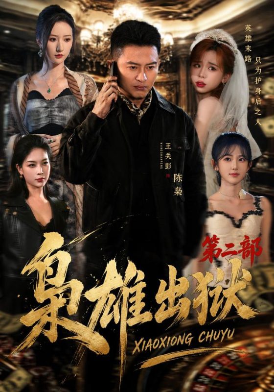 《枭雄出狱第二部》-VIP部落