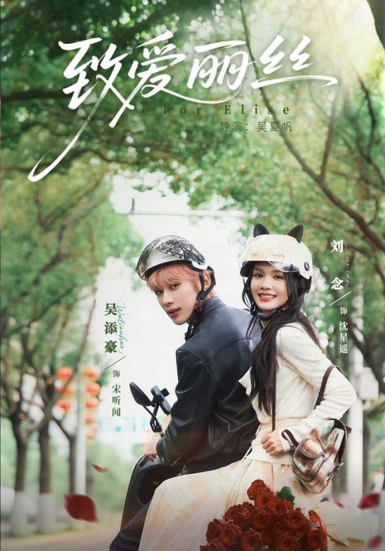 《致爱丽丝》-VIP部落