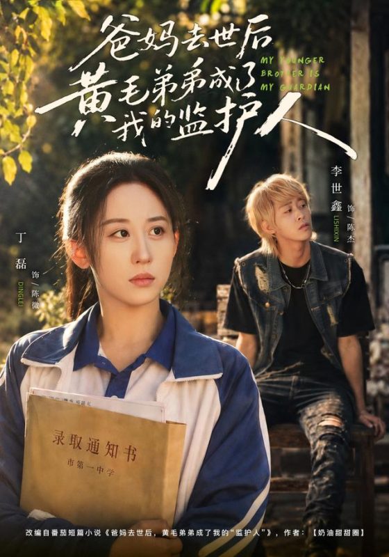 《爸妈去世后黄毛弟弟成了我的监护人》-VIP部落