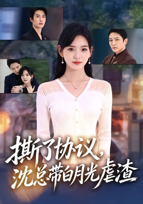 《撕了协议，沈总带白月光虐渣》-VIP部落