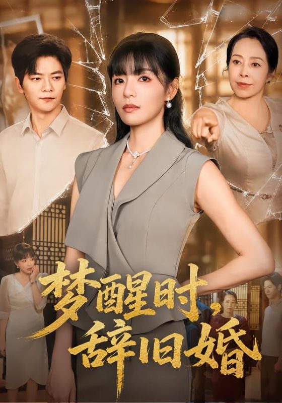 《梦醒时，辞旧婚》-VIP部落
