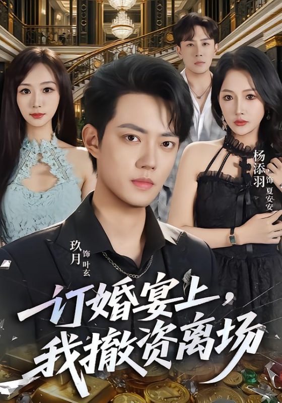 《订婚宴上，我撤资离场》-VIP部落