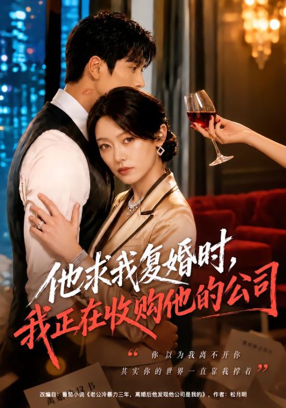 《他求我复婚时，我正在收购他的公司》-VIP部落