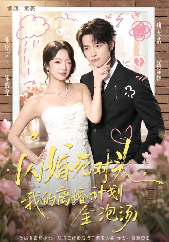 《闪婚死对头，我的离婚计划全泡汤》-VIP部落