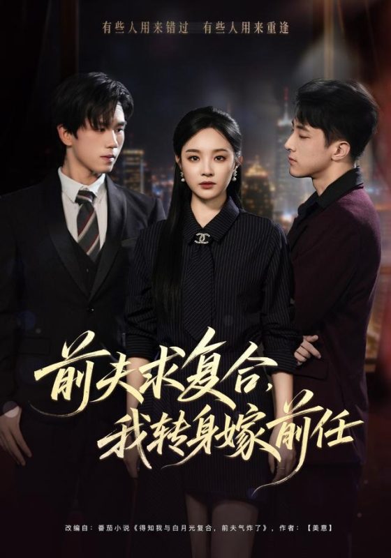 《前夫求复合，我转身嫁前任》-VIP部落