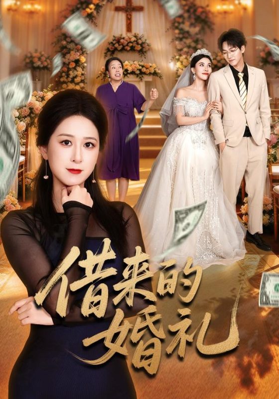 《借来的婚礼》-VIP部落