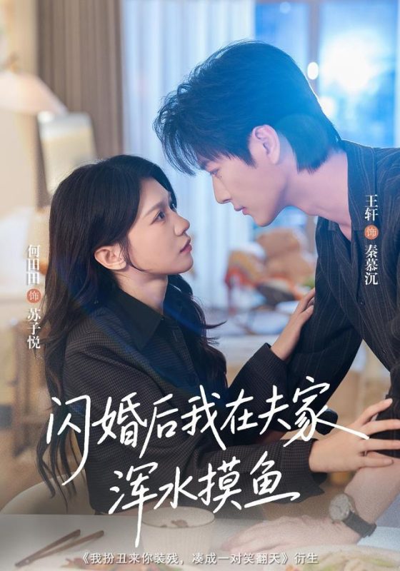 《闪婚后我在夫家浑水摸鱼》-VIP部落