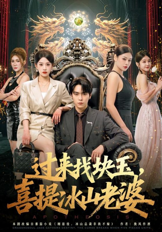 《过来找块玉，喜提冰山老婆》-VIP部落