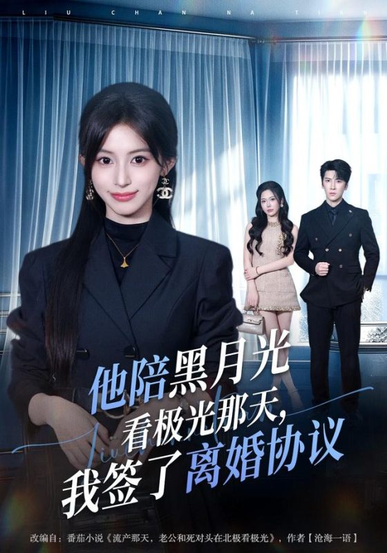 《他陪黑月光看极光那天，我签了离婚协议》-VIP部落
