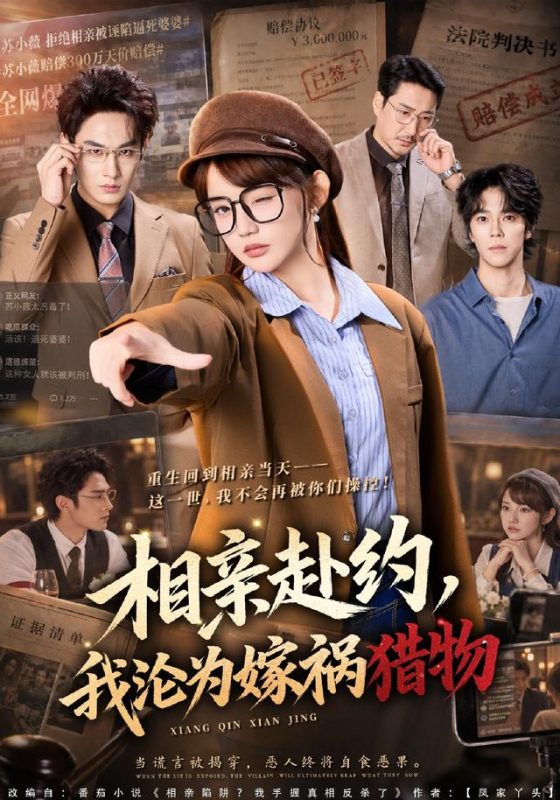 《相亲赴约，我沦为嫁祸猎物》-VIP部落