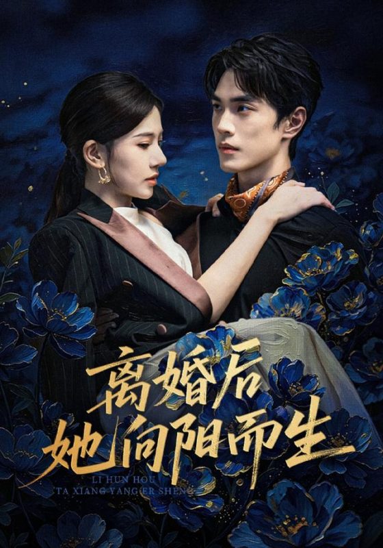 《离婚后她向阳而生》-VIP部落