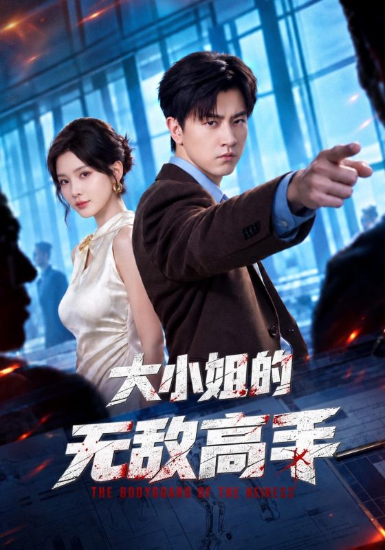 《大小姐的无敌高手》-VIP部落