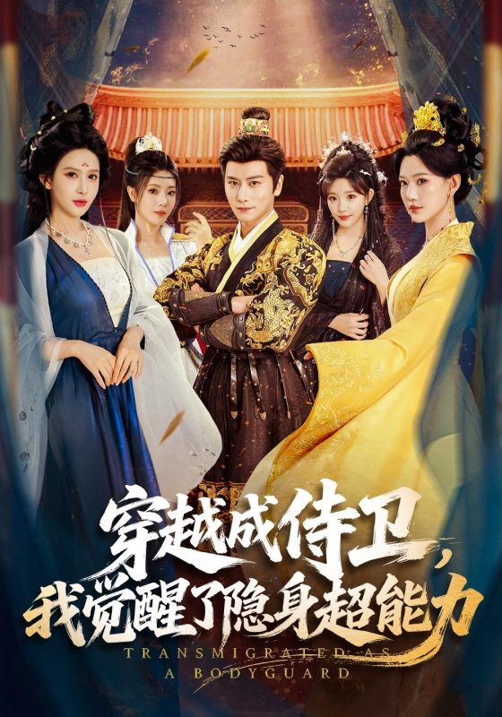 《穿越成侍卫，我觉醒了隐身超能力》-VIP部落