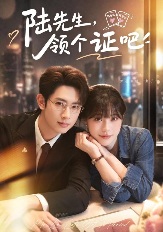 《陆先生，领个证吧》-VIP部落