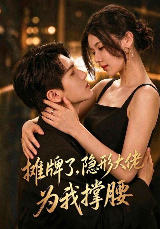 《摊牌了，我的男友隐形大佬》-VIP部落