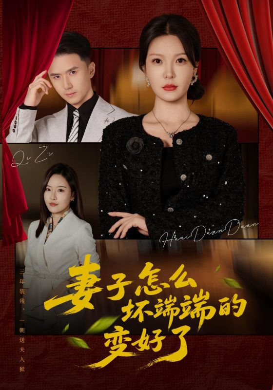 《妻子怎么坏端端的变好了》-VIP部落