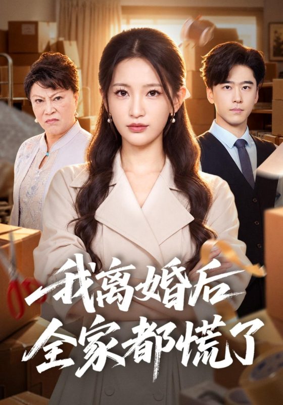 《我离婚后全家都慌了》-VIP部落