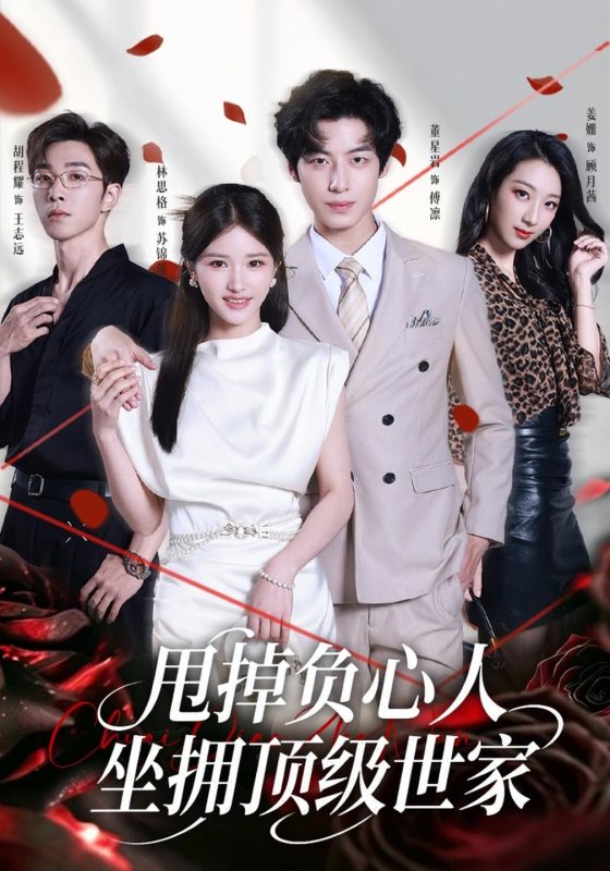 《甩掉负心人，坐拥顶级世家》-VIP部落