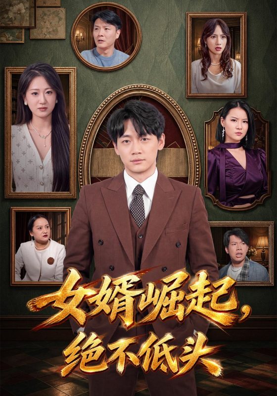 《女婿崛起，绝不低头》-VIP部落