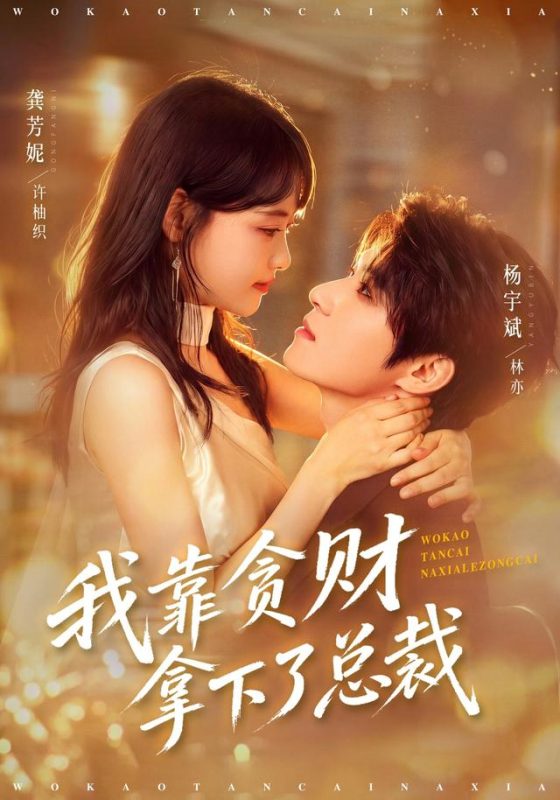 《我靠贪财拿下了总裁》-VIP部落