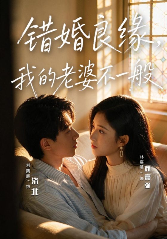 《错婚良缘，我的老婆不一般》-VIP部落