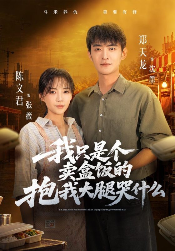 《我只是个卖盒饭的抱我大腿哭什么》-VIP部落