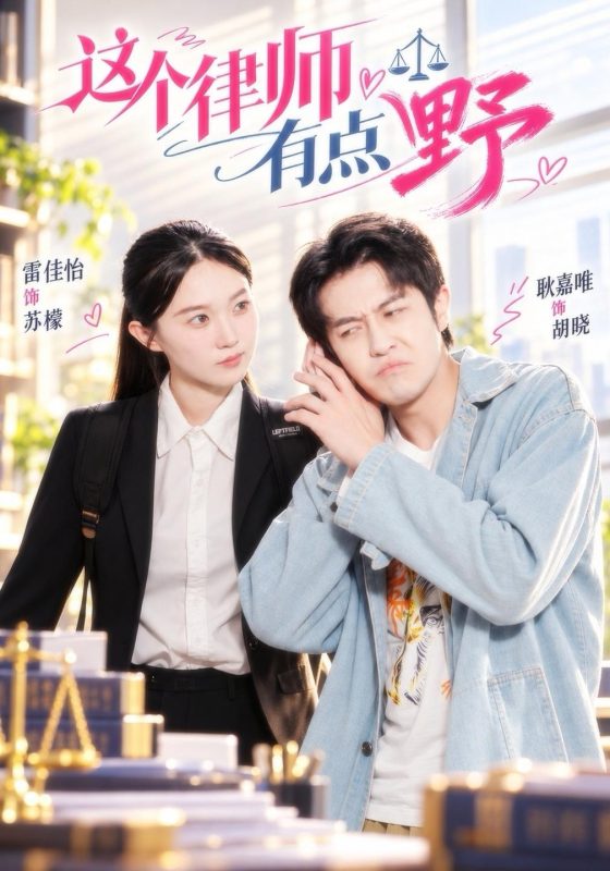 《这个律师有点野》-VIP部落