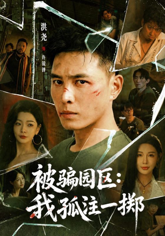 《被骗园区：我孤注一掷》-VIP部落