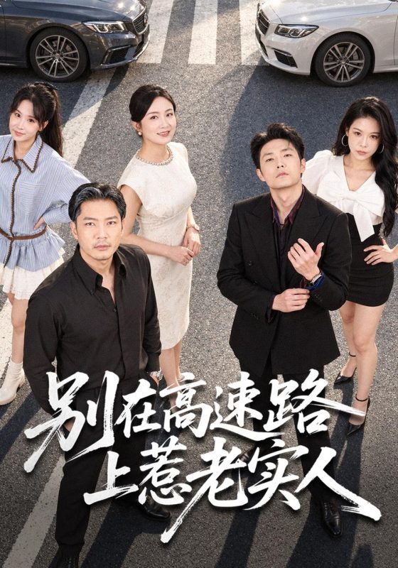 《别在高速路上惹老实人》-VIP部落