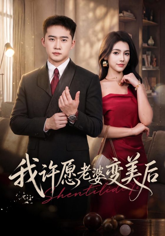《我许愿老婆变美后》-VIP部落