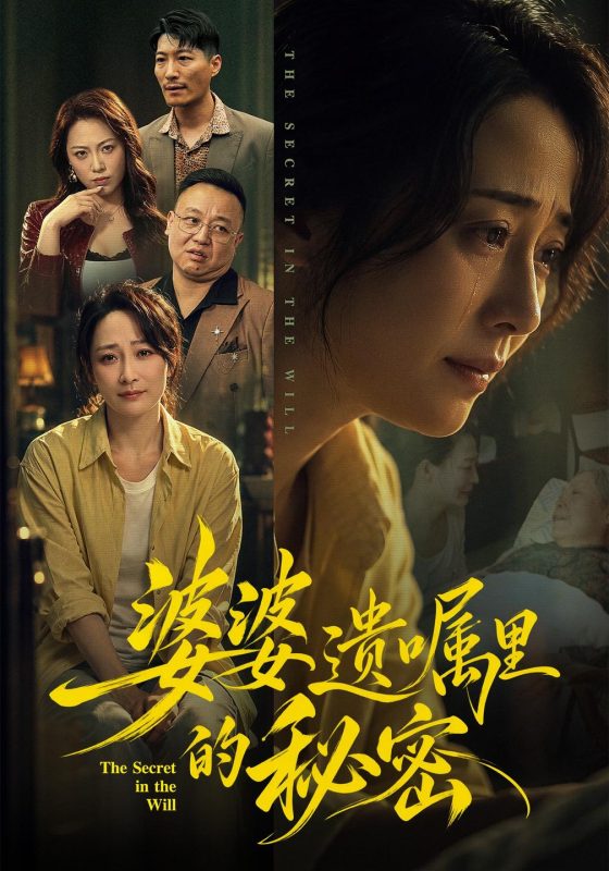 《婆婆遗嘱里的秘密》-VIP部落