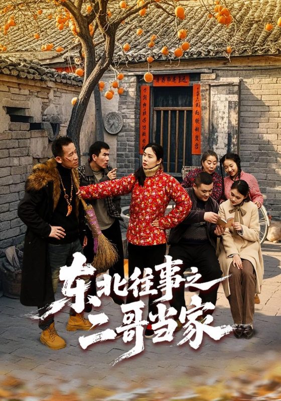 《东北往事之二哥当家》-VIP部落
