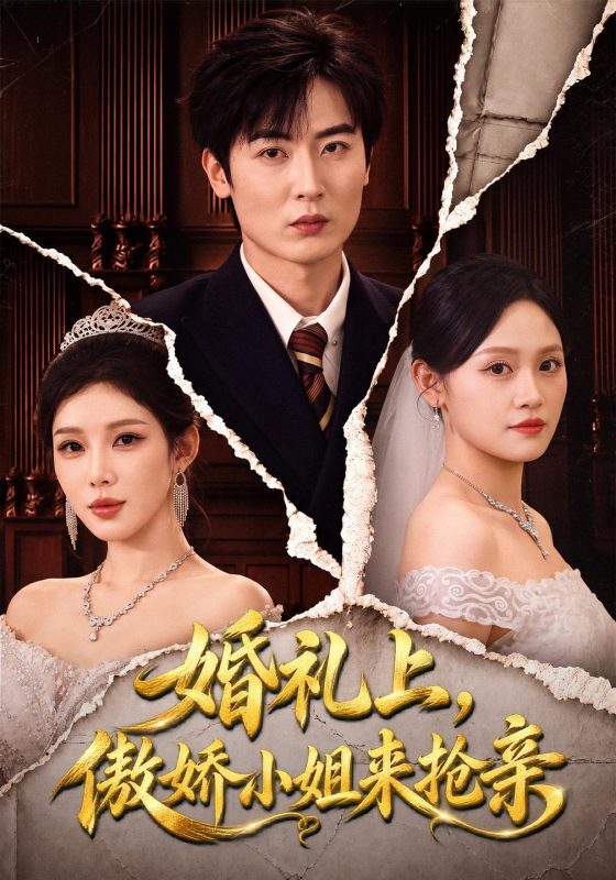 《婚礼上，傲娇小姐来抢亲》-VIP部落